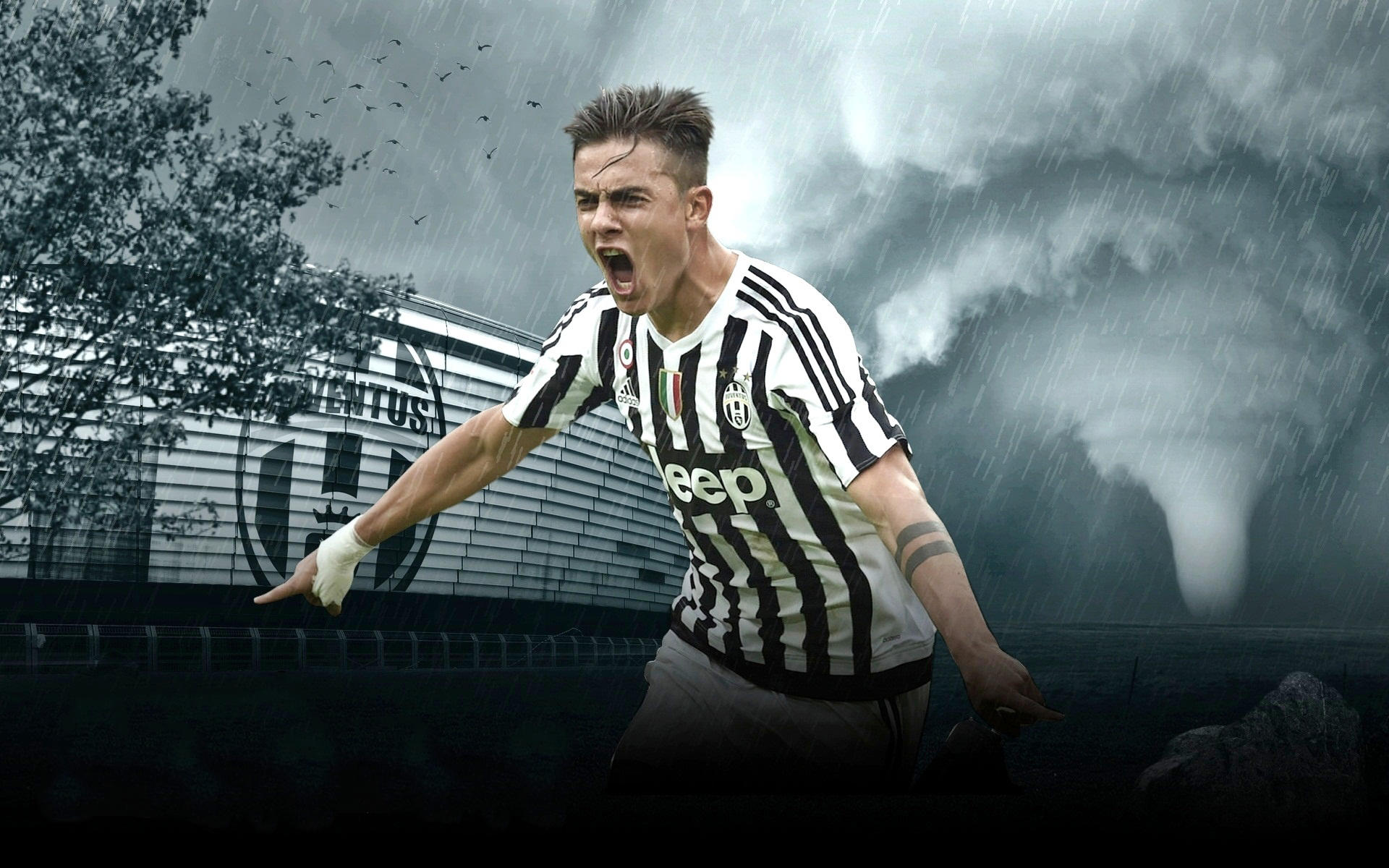 本轮亚冠精英观众人数：成都27836人居首，申花第4，海港第5